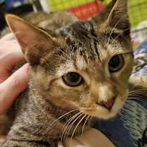 Thumbnail photo of Anita #1