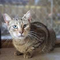 Thumbnail photo of Porter #3