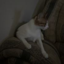 Thumbnail photo of Lilly #2