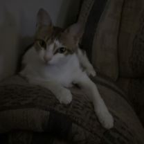 Thumbnail photo of Lilly #3