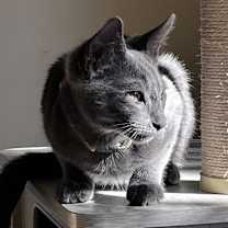 Thumbnail photo of Casper #1