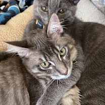 Thumbnail photo of Casper #2