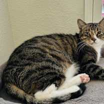 Thumbnail photo of Quincy #3