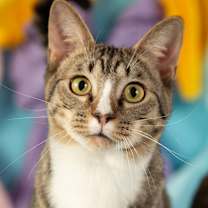 Thumbnail photo of Alexander #4