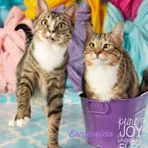 Thumbnail photo of Esmeralda #1