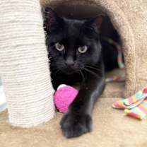 Thumbnail photo of Wendell #1