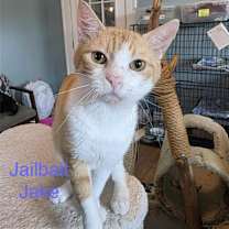 Thumbnail photo of Jailbait Jake #2