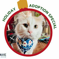 Thumbnail photo of Clark #1