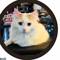 Thumbnail photo of Clark #2