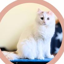 Thumbnail photo of Clark #3