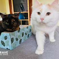 Thumbnail photo of Clark #4