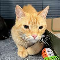 Thumbnail photo of Benjamin #1