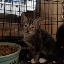 Thumbnail photo of George #2