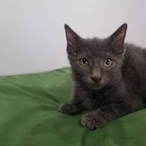 Thumbnail photo of Andreas #3