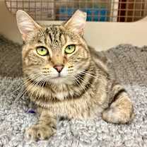 Thumbnail photo of Kai Tarkitty #3