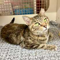 Thumbnail photo of Kai Tarkitty #4