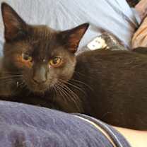 Thumbnail photo of Ivar #2