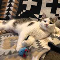 Thumbnail photo of Mika #4