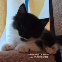 Thumbnail photo of Fluffer Nutter #1