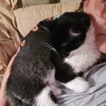 Thumbnail photo of Fluffer Nutter #3