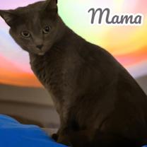 Thumbnail photo of Mama #1