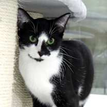 Thumbnail photo of Venture #4