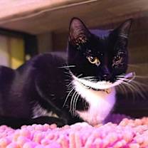 Thumbnail photo of Gwendolen #1