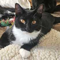 Thumbnail photo of Gwendolen #2