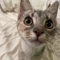 Thumbnail photo of June and Bug #3