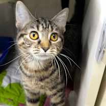 Thumbnail photo of Betty #2