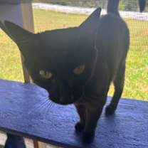 Thumbnail photo of Sofia #3