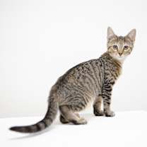 Thumbnail photo of Declan #2