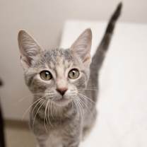 Thumbnail photo of Twirl #2