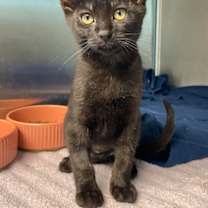 Thumbnail photo of Beatrix Potter #1