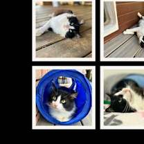 Thumbnail photo of Abe #3