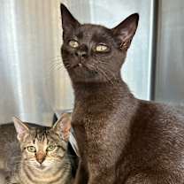 Thumbnail photo of Ugabooga #4