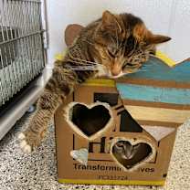 Thumbnail photo of DEMI #4