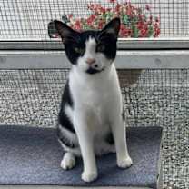 Thumbnail photo of HUDSON #2