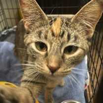 Thumbnail photo of MEG #3