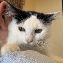 Thumbnail photo of Thyme #2