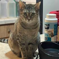 Thumbnail photo of Mizuki #2