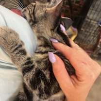 Thumbnail photo of Ketchup #2