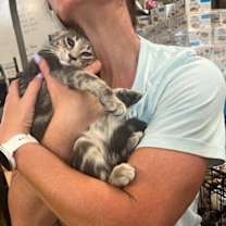 Thumbnail photo of Ketchup #3