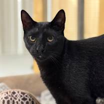 Thumbnail photo of Toby #2