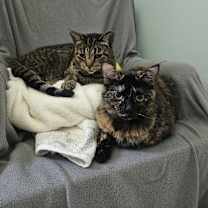 Thumbnail photo of Della #4