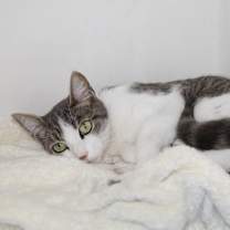 Thumbnail photo of Aria #4