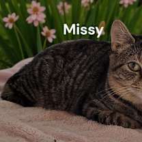 Thumbnail photo of Missy #2