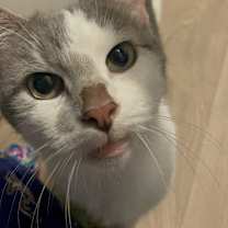 Thumbnail photo of Kay #3