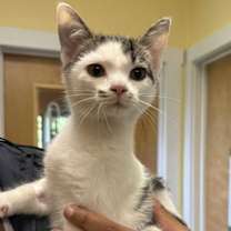 Thumbnail photo of Marie #2