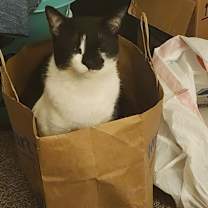 Thumbnail photo of Sally & Pheobe #3